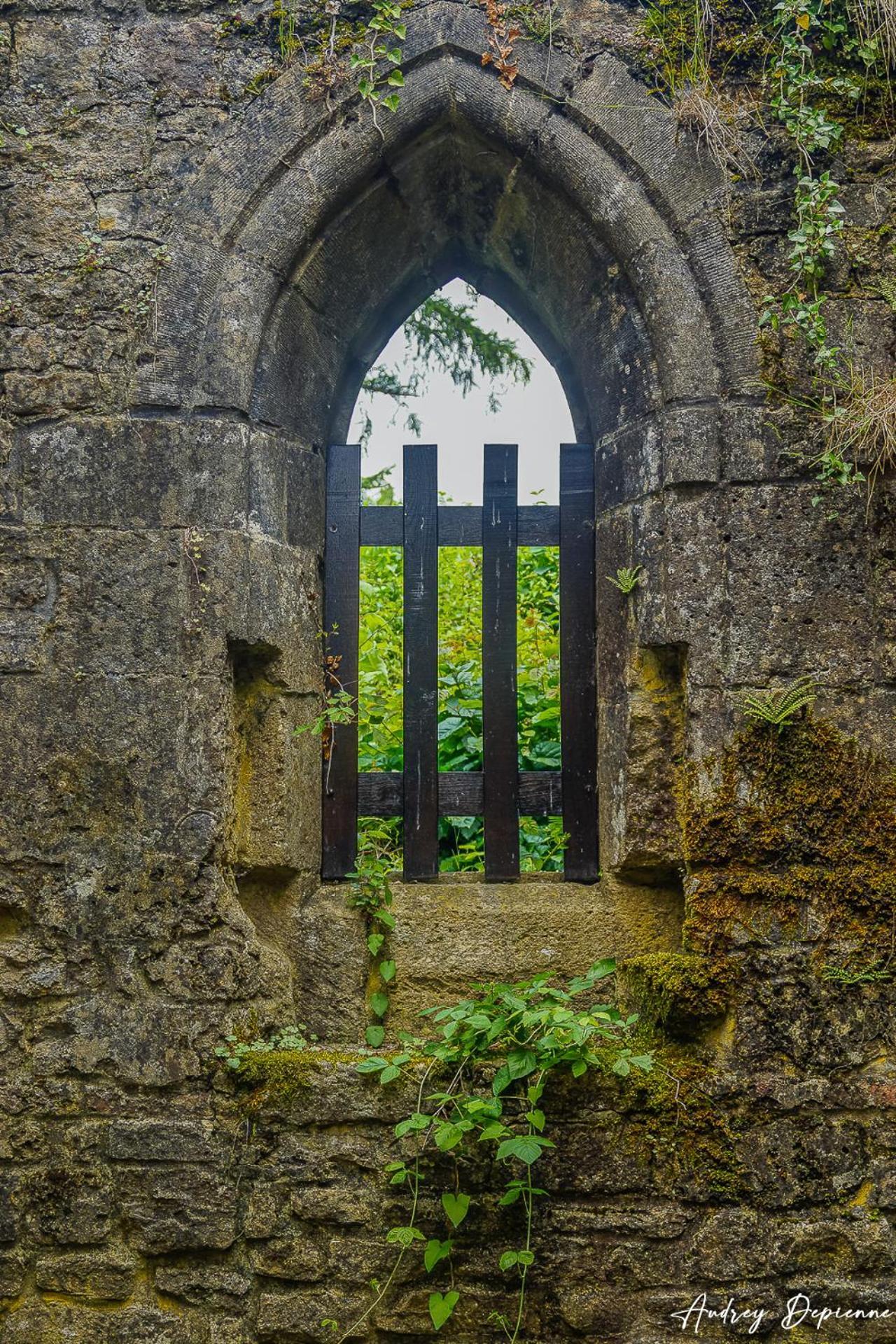 Bed and Breakfast Orval16 Abbaye d'Orval Exteriér fotografie